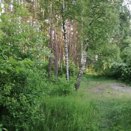 Bory Tucholskie Domek Starzyska Osowek Exterior photo