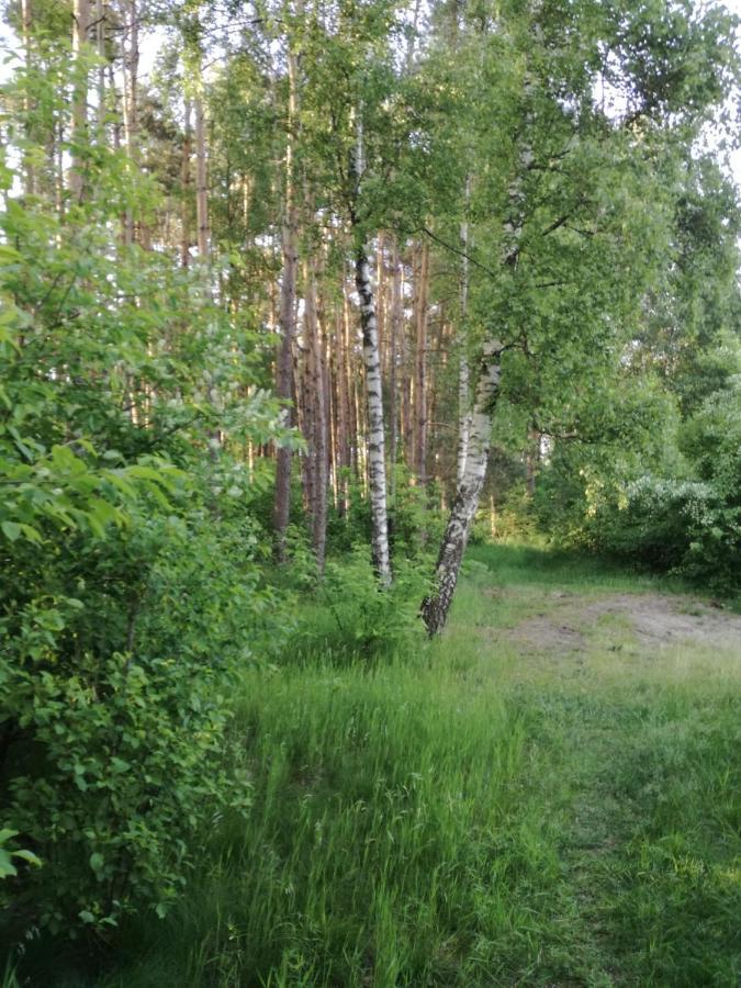 Bory Tucholskie Starzyska Holiday home *